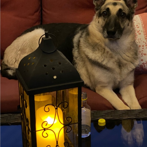 Live Show Listing! - Picture 4 of 6